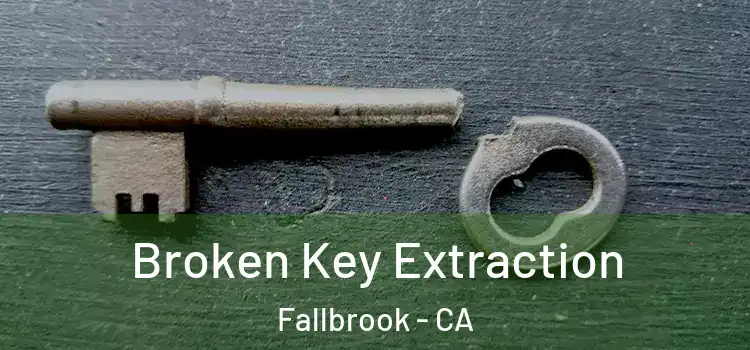  Broken Key Extraction Fallbrook - CA