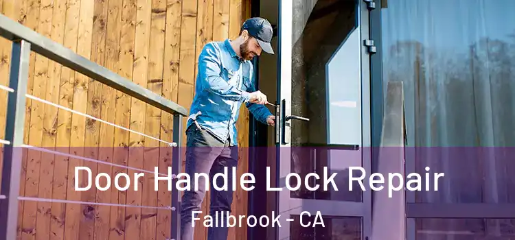 Door Handle Lock Repair Fallbrook - CA