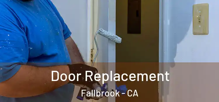  Door Replacement Fallbrook - CA