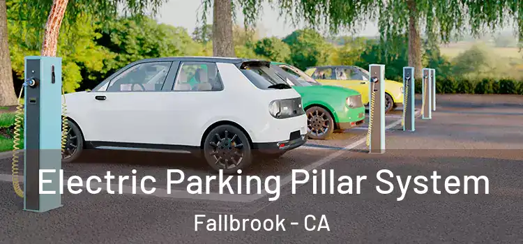 Electric Parking Pillar System Fallbrook - CA