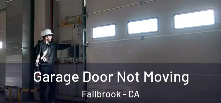  Garage Door Not Moving Fallbrook - CA