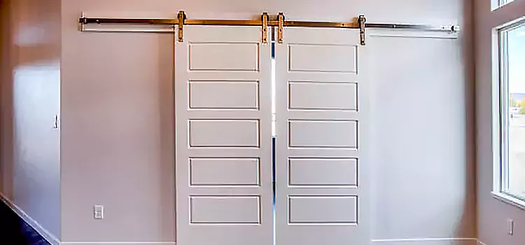 Glass Barn Door with Installation Hardware Kit Fallbrook