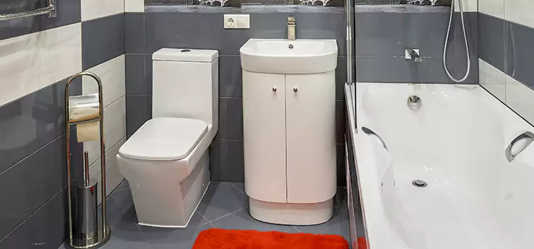 Hansgrohe Shaving Mirror Fallbrook